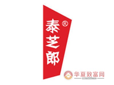 泰芝郎男装加盟